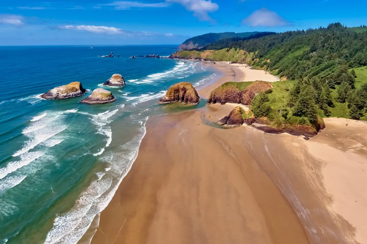 A breathtaking view of the coastline, with waves crashing on a sandy beach, dramatic rock formations, and lush green hills in the background. The wide-open space and natural beauty invite exploration, long walks, and peaceful moments with your dog.